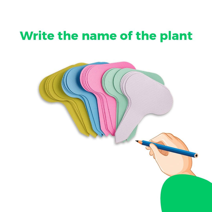 The Farming Kit – Fun & Educational Plant Growing Kit for Kids - Fun Learning Kuwait 